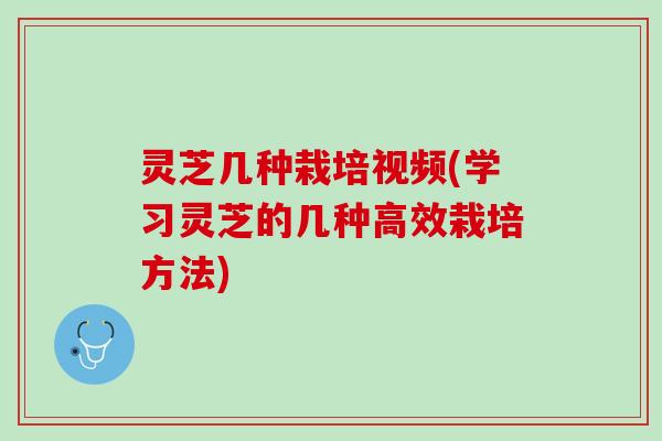 灵芝几种栽培视频(学习灵芝的几种高效栽培方法)