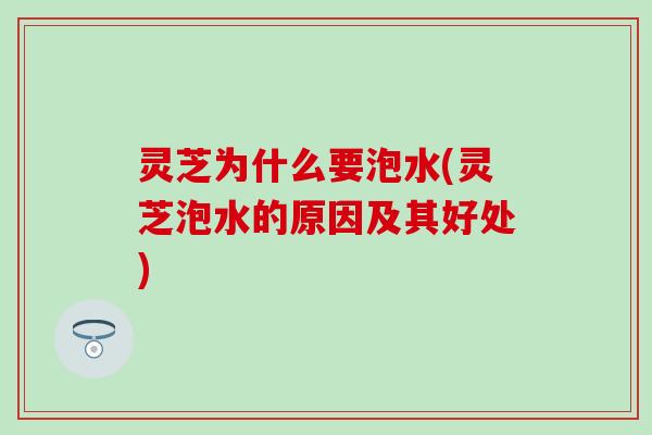 灵芝为什么要泡水(灵芝泡水的原因及其好处)