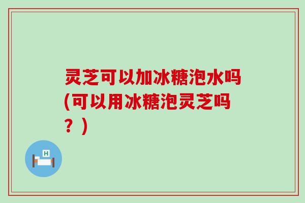 灵芝可以加冰糖泡水吗(可以用冰糖泡灵芝吗？)