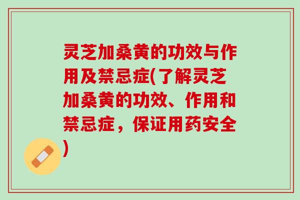 灵芝加桑黄的功效与作用及禁忌症(了解灵芝加桑黄的功效、作用和禁忌症，保证用药安全)