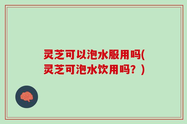 灵芝可以泡水服用吗(灵芝可泡水饮用吗？)