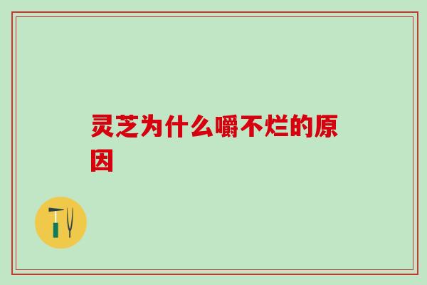 灵芝为什么嚼不烂的原因