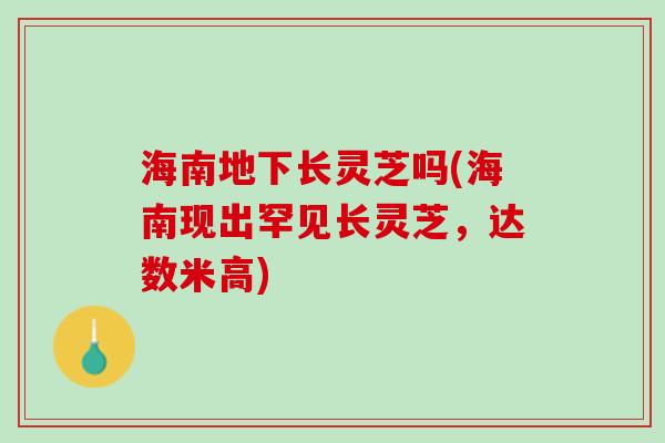 海南地下长灵芝吗(海南现出罕见长灵芝，达数米高)