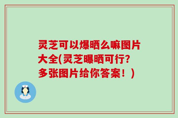 灵芝可以爆晒么嘛图片大全(灵芝曝晒可行？多张图片给你答案！)