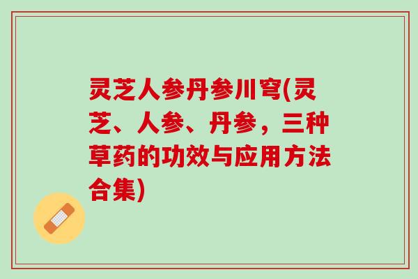 灵芝人参丹参川穹(灵芝、人参、丹参，三种草药的功效与应用方法合集)