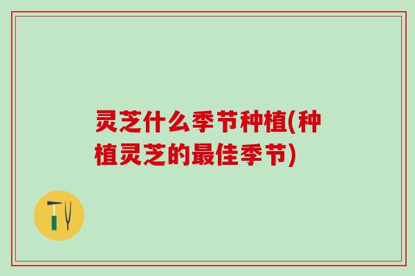 灵芝什么季节种植(种植灵芝的最佳季节)