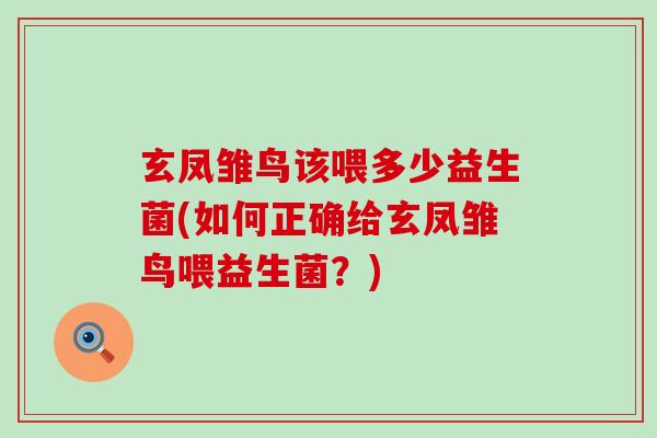 玄凤雏鸟该喂多少益生菌(如何正确给玄凤雏鸟喂益生菌？)