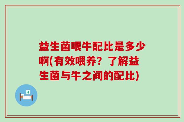 益生菌喂牛配比是多少啊(有效喂养？了解益生菌与牛之间的配比)