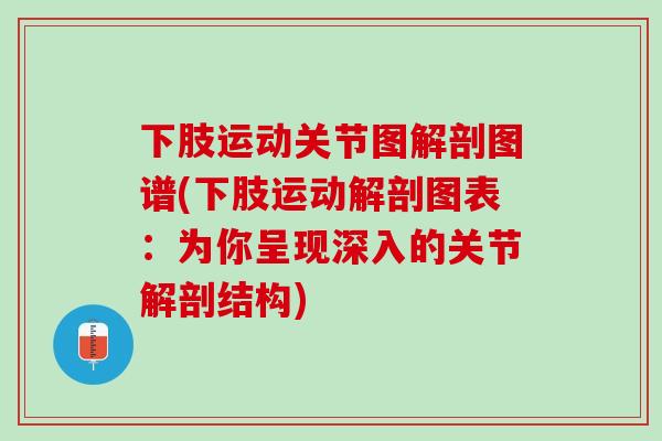 下肢运动关节图解剖图谱(下肢运动解剖图表：为你呈现深入的关节解剖结构)