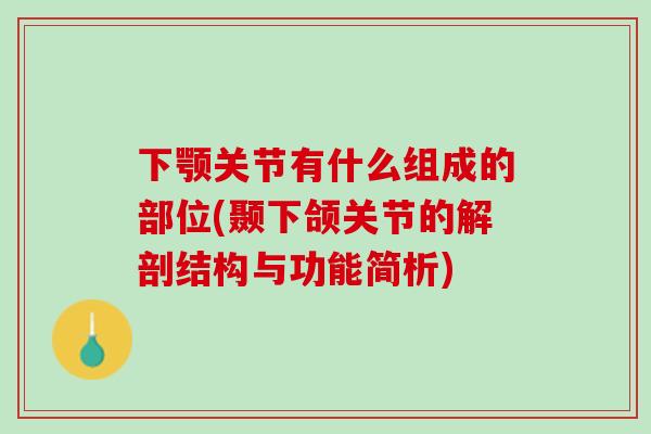 下颚关节有什么组成的部位(颞下颌关节的解剖结构与功能简析)