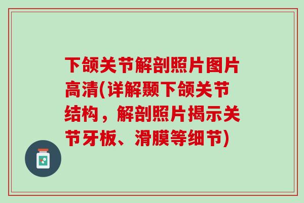下颌关节解剖照片图片高清(详解颞下颌关节结构，解剖照片揭示关节牙板、滑膜等细节)