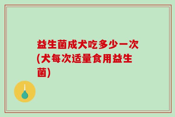 益生菌成犬吃多少一次(犬每次适量食用益生菌)