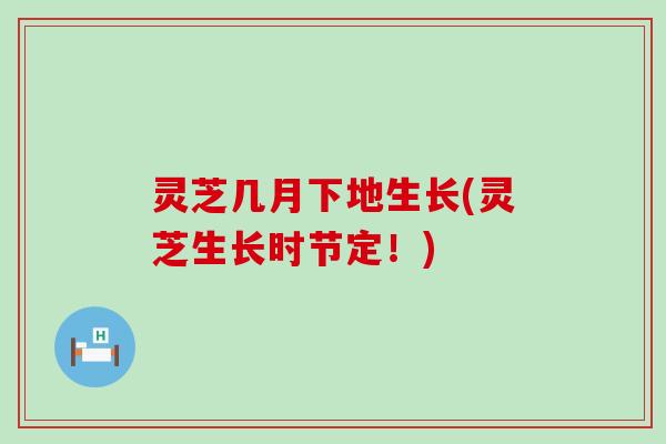 灵芝几月下地生长(灵芝生长时节定！)