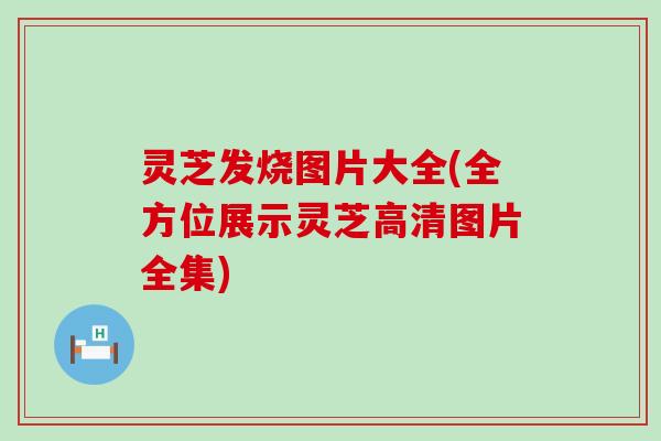 灵芝发烧图片大全(全方位展示灵芝高清图片全集)