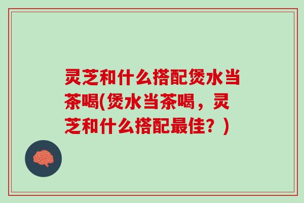 灵芝和什么搭配煲水当茶喝(煲水当茶喝，灵芝和什么搭配最佳？)