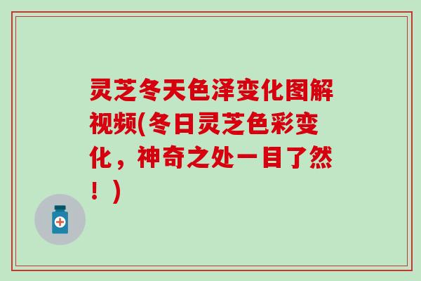 灵芝冬天色泽变化图解视频(冬日灵芝色彩变化，神奇之处一目了然！)