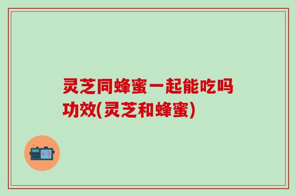 灵芝同蜂蜜一起能吃吗功效(灵芝和蜂蜜)