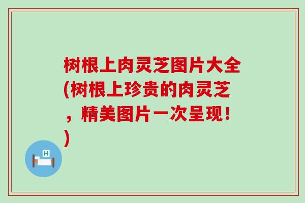 树根上肉灵芝图片大全(树根上珍贵的肉灵芝，精美图片一次呈现！)