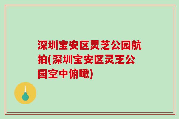 深圳宝安区灵芝公园航拍(深圳宝安区灵芝公园空中俯瞰)