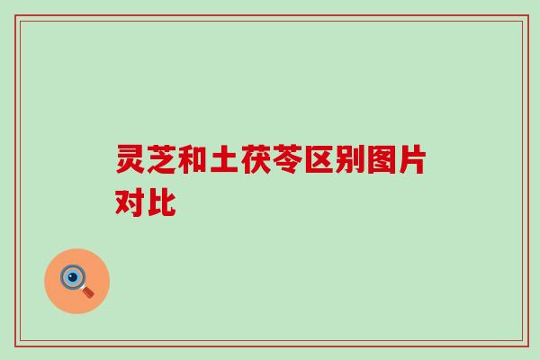 灵芝和土茯苓区别图片对比
