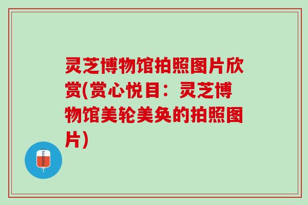 灵芝博物馆拍照图片欣赏(赏心悦目：灵芝博物馆美轮美奂的拍照图片)