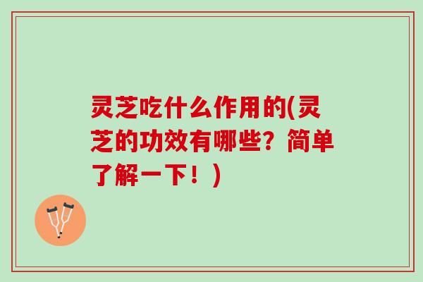 灵芝吃什么作用的(灵芝的功效有哪些？简单了解一下！)