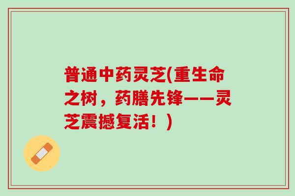 普通中药灵芝(重生命之树，药膳先锋——灵芝震撼复活！)