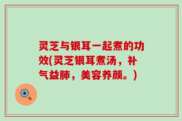 灵芝与银耳一起煮的功效(灵芝银耳煮汤，补气益肺，美容养颜。)