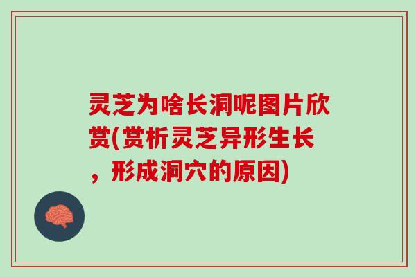 灵芝为啥长洞呢图片欣赏(赏析灵芝异形生长，形成洞穴的原因)