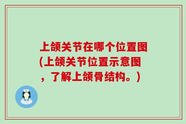 上颌关节在哪个位置图(上颌关节位置示意图，了解上颌骨结构。)