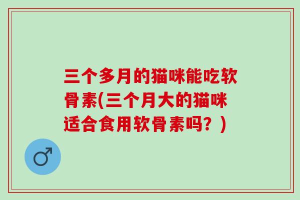 三个多月的猫咪能吃软骨素(三个月大的猫咪适合食用软骨素吗？)