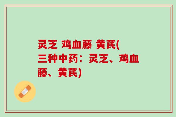灵芝 鸡血藤 黄芪(三种中药：灵芝、鸡血藤、黄芪)