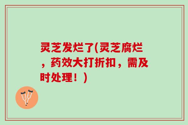 灵芝发烂了(灵芝腐烂，药效大打折扣，需及时处理！)