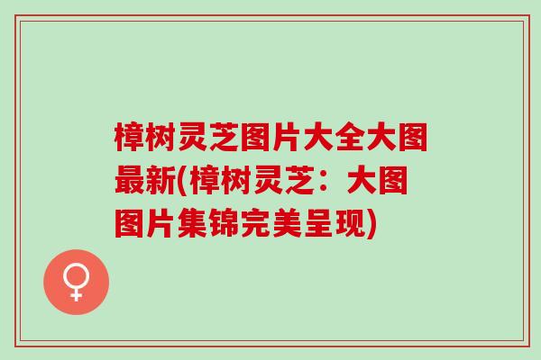 樟树灵芝图片大全大图最新(樟树灵芝：大图图片集锦完美呈现)