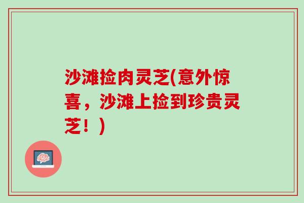 沙滩捡肉灵芝(意外惊喜，沙滩上捡到珍贵灵芝！)
