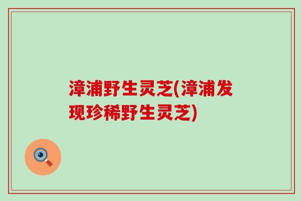 漳浦野生灵芝(漳浦发现珍稀野生灵芝)