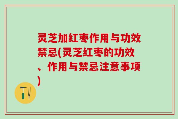 灵芝加红枣作用与功效禁忌(灵芝红枣的功效、作用与禁忌注意事项)