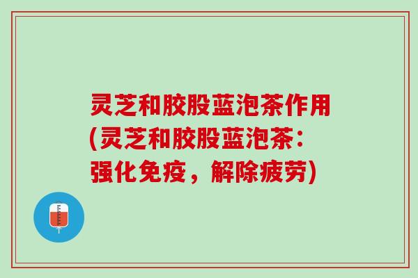 灵芝和胶股蓝泡茶作用(灵芝和胶股蓝泡茶：强化免疫，解除疲劳)