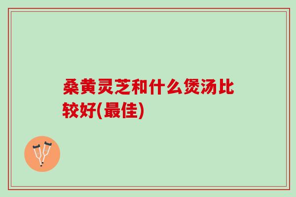 桑黄灵芝和什么煲汤比较好(佳)
