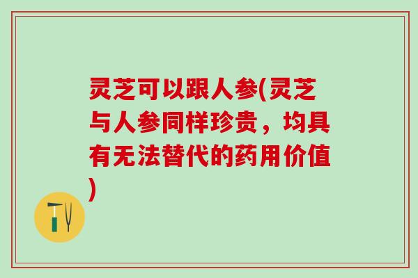 灵芝可以跟人参(灵芝与人参同样珍贵，均具有无法替代的药用价值)