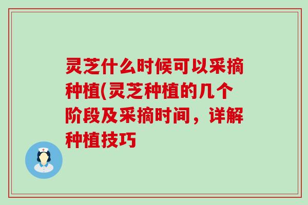 灵芝什么时候可以采摘种植(灵芝种植的几个阶段及采摘时间，详解种植技巧