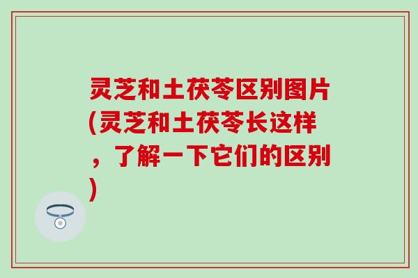 灵芝和土茯苓区别图片(灵芝和土茯苓长这样，了解一下它们的区别)