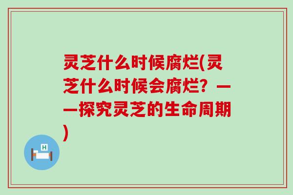 灵芝什么时候腐烂(灵芝什么时候会腐烂？——探究灵芝的生命周期)