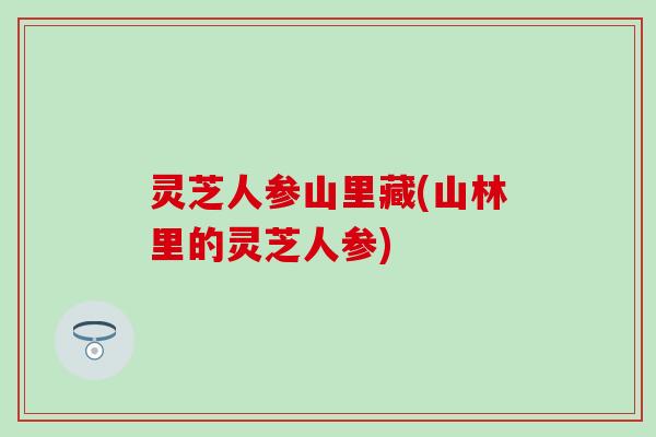灵芝人参山里藏(山林里的灵芝人参)