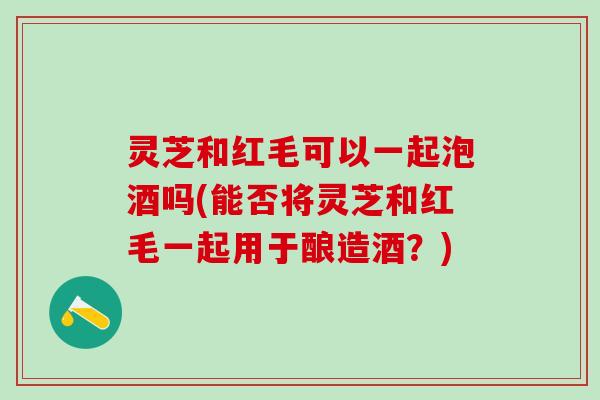 灵芝和红毛可以一起泡酒吗(能否将灵芝和红毛一起用于酿造酒？)