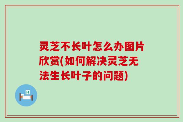 灵芝不长叶怎么办图片欣赏(如何解决灵芝无法生长叶子的问题)
