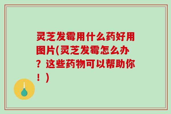 灵芝发霉用什么药好用图片(灵芝发霉怎么办？这些药物可以帮助你！)