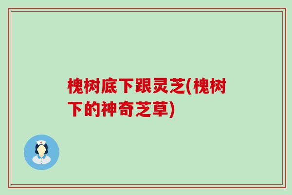 槐树底下跟灵芝(槐树下的神奇芝草)