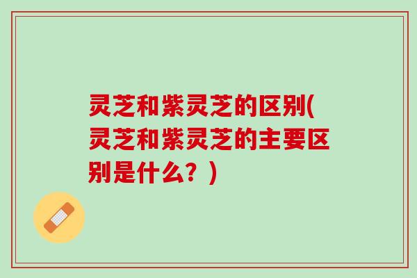 灵芝和紫灵芝的区别(灵芝和紫灵芝的主要区别是什么？)