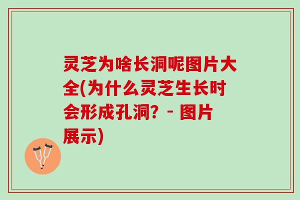 灵芝为啥长洞呢图片大全(为什么灵芝生长时会形成孔洞？- 图片展示)